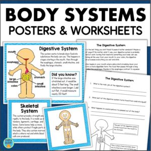 body systems activities